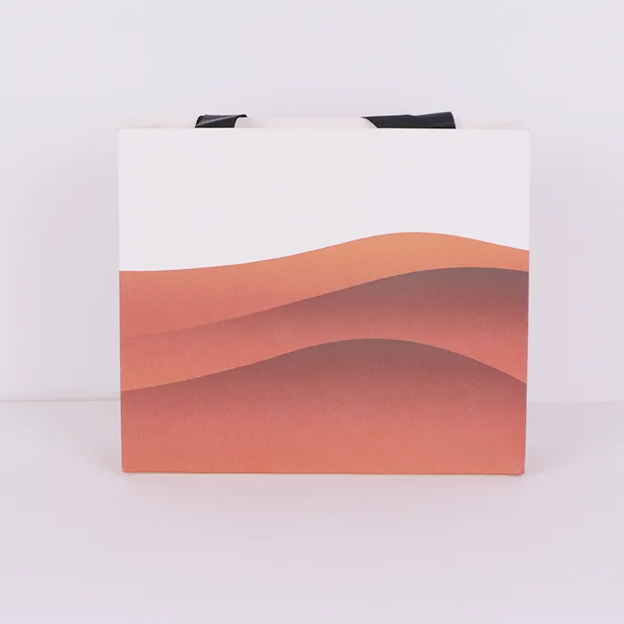 Cosmetic Paper Bags