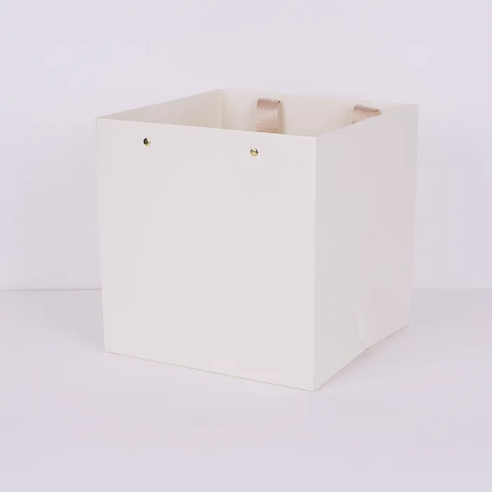 लक्झरी कागदी पिशव्या